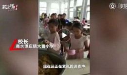 河南爆料视频在线观看,揭秘事件真相，在线观看直击现场