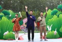 林州爆料新闻最新视频网,视频揭露惊人真相，网友热议不断！