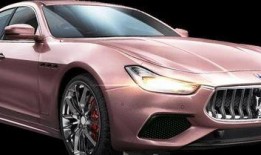 和平精英最新爆料玛莎