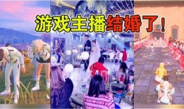 婚礼爆料游戏怎么玩视频,轻松掌握互动乐趣