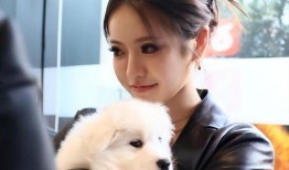 辛巴是女徒弟爆料吗视频,辛巴女徒弟爆料视频引发热议