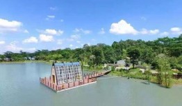 浙江北高峰新闻爆料,揭秘浙江北高峰最新动态与热点事件
