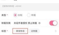 视频投稿爆料怎么写好看,视频投稿爆料背后的精彩瞬间