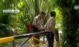 巴厘岛情侣 爆料事件视频,揭秘背后惊人真相