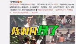 爆料刘翔峰事件视频全集,揭开医疗丑闻背后的真相