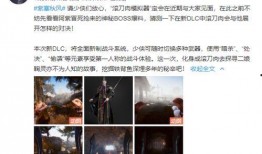 秋风爆料视频大全集播放,视频大全集精彩瞬间回顾