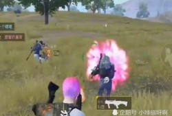 和平精英端游最新爆料,全新内容即将上线，战局再掀风云！