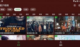 节目八卦爆料视频播放下载,视频播放下载背后的秘密大揭秘