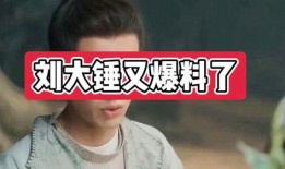 刘大锤爆料娱乐圈有孩子,揭秘明星育儿幕后故事