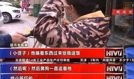 刘大包子爆料事件真相视频,揭秘真相背后的惊人内幕