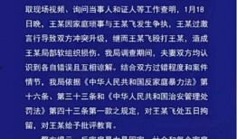 最新爆料家暴男子事件真相,家暴男子残忍行径背后的惊人内幕