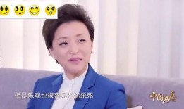 平安爆料杨澜视频可下载,平安爆料背后的下载秘密