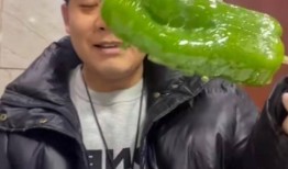 魏县网红吃瓜事件视频最新,一场网络狂欢背后的真相揭秘