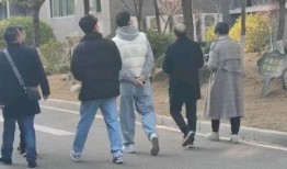 陇南网红吃瓜事件,揭秘网络舆论背后的真相与反思
