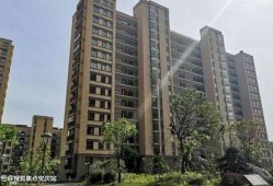 海哥热线爆料视频大全最新,揭秘热点事件背后的真相