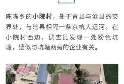 老陈最新爆料新闻视频播放