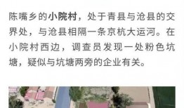 老陈最新爆料新闻视频播放