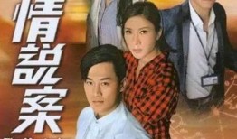 谈情说案 在线观看,情感纠葛与法律智慧交织的悬疑故事