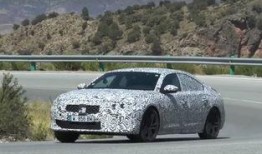 法系车最新爆料新闻