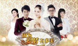 因为爱情电视剧在线观看,重温甜蜜爱情故事，在线观看浪漫瞬间