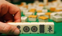 麻将配料爆料视频播放大全,视频大全带你领略麻将魅力