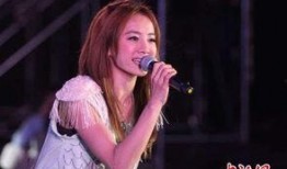蔡依林父亲爆料新闻事件,揭秘明星家庭背后的辛酸与真相