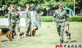 铁汉奇兵在线观看,热血征程，战火中的英雄传奇