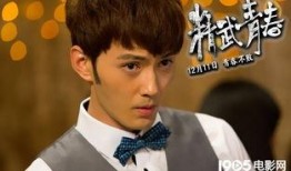 精武青春在线观看,热血青春，武术传奇