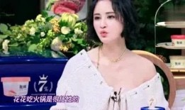 二姐被爆料视频,揭秘背后真相与争议