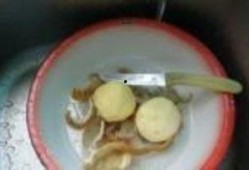 腌菜做法爆料大全视频,视频揭秘腌菜做法大全