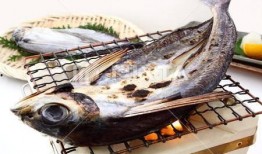 娱乐吃瓜酱飞鱼