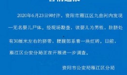 资阳爆料新闻,聚焦民生热点，揭示社会现象