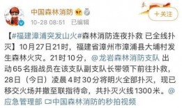福建省爆料新闻事件视频,揭秘XX事件背后的真相