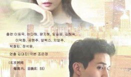 hotel king在线观看,揭秘酒店业的传奇传奇故事