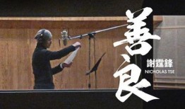 谢霆锋新歌爆料视频播放,揭秘创作灵感与幕后故事