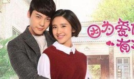 因为爱情电视剧在线观看,重温甜蜜爱情故事，在线观看浪漫瞬间