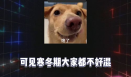 51娱乐八卦吃瓜,揭秘娱乐圈最新吃瓜事件，带你领略明星幕后故事