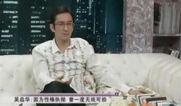 圈内爆料吴启华,揭秘娱乐圈不为人知的一面