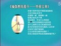 爆料人原始视频大全,真实事件背后的惊人真相