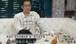 圈内爆料吴启华,揭秘娱乐圈不为人知的一面