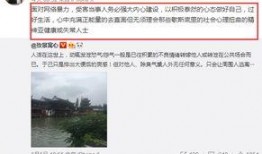 老王回应晚秋爆料视频下载,真相揭晓，下载视频背后的故事