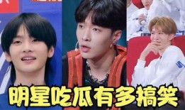 娱乐吃瓜酱自己和解,自创与解构，揭秘娱乐圈幕后风云