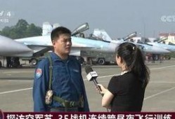中国飞行员爆料最新消息,揭秘民航安全背后的故事