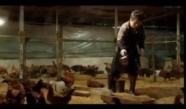 失踪电影手机在线观看,手机在线观看，揭秘神秘剧情