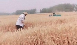 孩子失踪爆料视频播放大全,揭秘失踪背后的真相与挑战