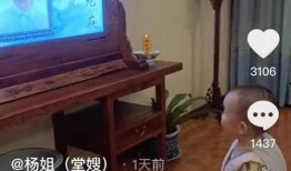 小熊妈被人爆料视频,真相背后引人深思