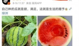 娱乐圈哪里吃瓜好吃,揭秘各大热门地点的“吃瓜”盛宴