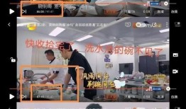 中餐厅视频在线观看,美味之旅，云端盛宴同步直播