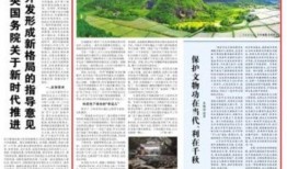 光明报新闻爆料,揭秘重大新闻事件背后真相