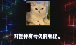 娱乐播报台吃瓜八卦视频,吃瓜群众热议的八卦视频大汇总